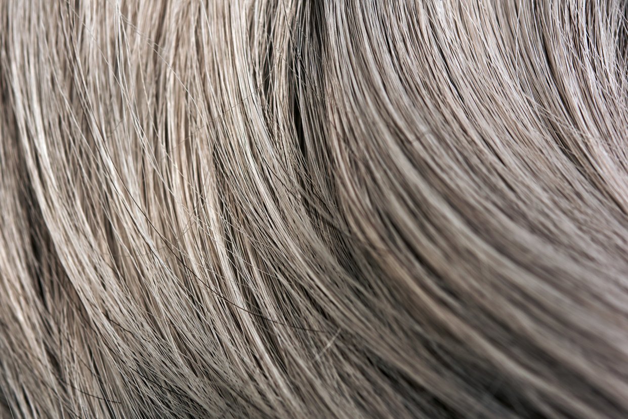 gray hair